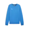 Puma teamGOAL Casuals Crew Neck S Mavi Erkek Sweatsirt