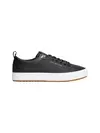 TH HI VULC CORE LOW, BDS