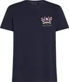Tommy Hilfiger HILFIGER COLOUR CRES, DW5 Siyah Erkek T-Shirt & Polo