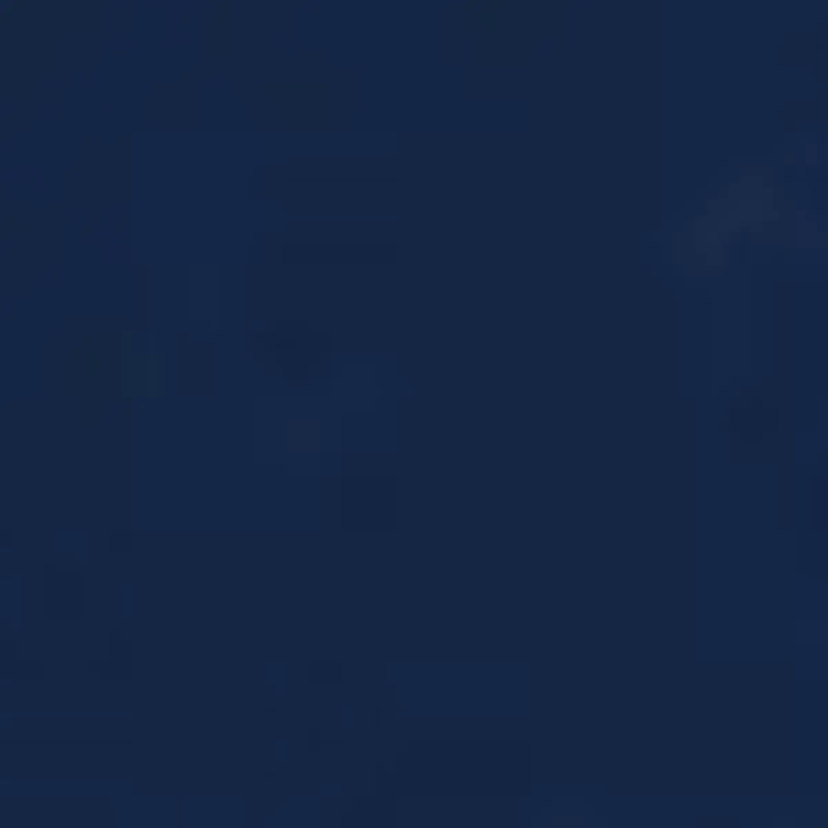 Tommy Hilfiger TJW SLIM TJ US LINEA, C1G Lacivert Kadın T-Shirt & Polo