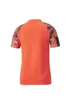 Puma İndividualfınal Wc Jersey Kırmızı Erkek Takım Forması