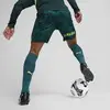 Puma FSK GK Shorts Replica Erkek Şort