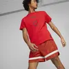 Puma Franchise Core Basketball T-Shirt