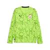 Puma GSK GK Jersey LS GALATASARAY 26/27 Erkek Kaleci Forması