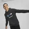 Puma BMW MMS ESS FT Hoodie Siyah Erkek/Unisex Sweat