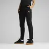 Puma EVOSTRIPE Pants Siyah Erkek Eşofman Altı
