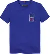Tommy Hilfiger TH GRAPHIC REG TEE S, D03 Lacivert Erkek T-Shirt & Polo