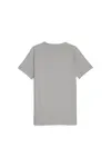 Puma EVOSTRIPE Tee Gri Erkek T-Shirt