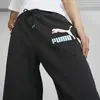 Puma Fandom Sweatpants Siyah Erkek Eşofman Altı