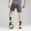 Puma individualCUP Shorts Gri Erkek Şort