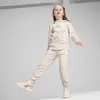 Puma ESS+ FC Sweatpants Pembe Unisex Eşofman Altı