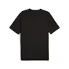 Puma EVOSTRIPE Tee Siyah Erkek T-Shirt