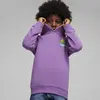 Puma X TROLLS Hoodie Mor Unisex Sweatshirt