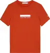 Calvin Klein SMALL BLOCK LOGO T-S Erkek Turuncu T-Shirt