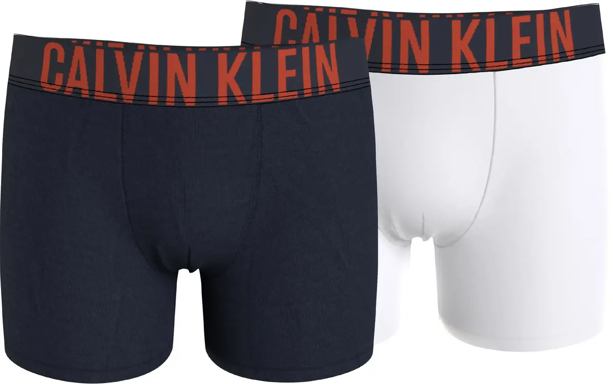 Calvin Klein 2PK BOXER BRIEF Erkek Lacivert Boxer Set