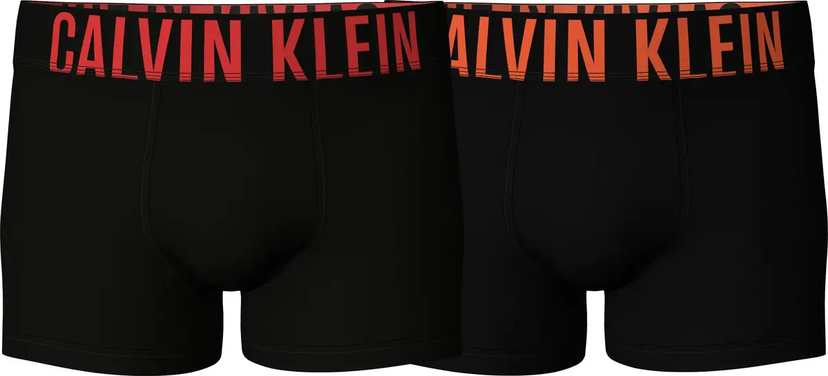 Calvin Klein TRUNK 2PK Erkek Siyah Boxer Set
