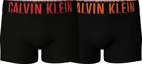 Calvin Klein TRUNK 2PK Erkek Siyah Boxer Set