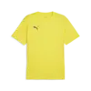 Puma teamGOAL Jersey Sarı Erkek T-Shirt