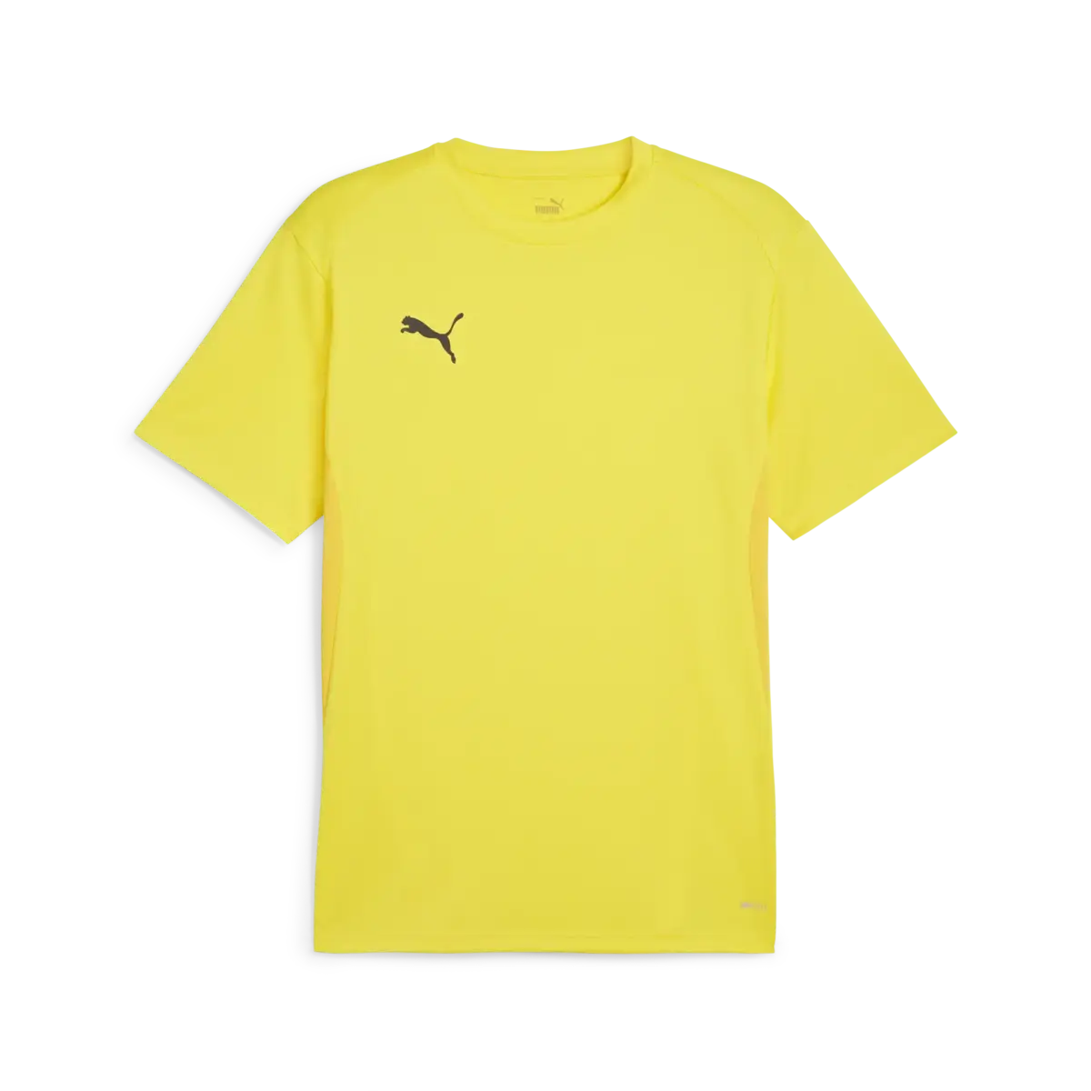 Puma teamGOAL Jersey Sarı Erkek T-Shirt