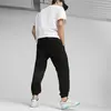 Puma Classics Small Logo Sweatpants FL Siyah Erkek/Unisex Eşofman Altı