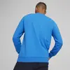 Puma teamGOAL Casuals Crew Neck S Mavi Erkek Sweatsirt