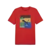 Puma GRAPHICS Sumer Sports Tee Kırmızı Erkek T-Shirt & Polo