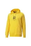 Puma Pl Graphic Hoodie Sarı Erkek Hoodie