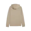 Puma PUMATECH Hoodie Erkek Sweatshirt