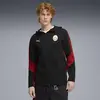 Puma GSK EVOSTRIPE Hooded Jacket Siyah Erkek Ceket