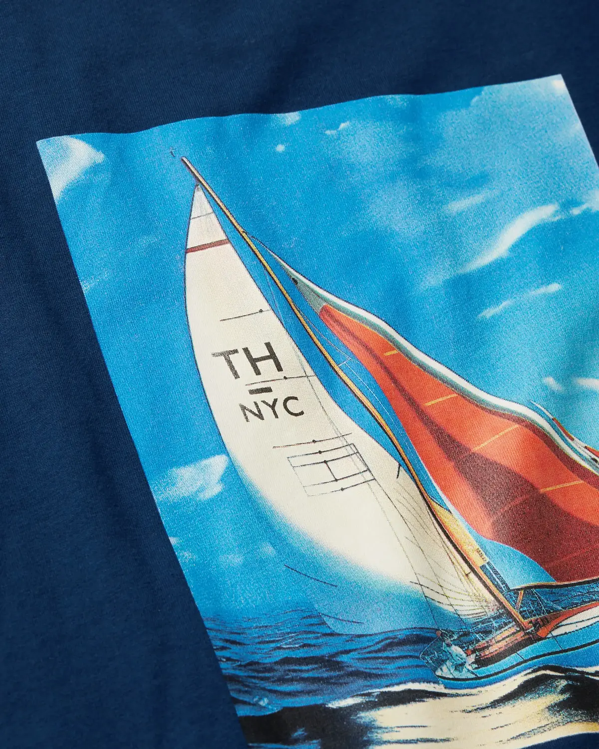 Tommy Hilfiger HILFIGER COLOR PHOTO, DAF Lacivert Erkek T-Shirt & Polo