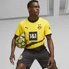 Puma BVB Home Jersey Sarı Erkek Takım Forması