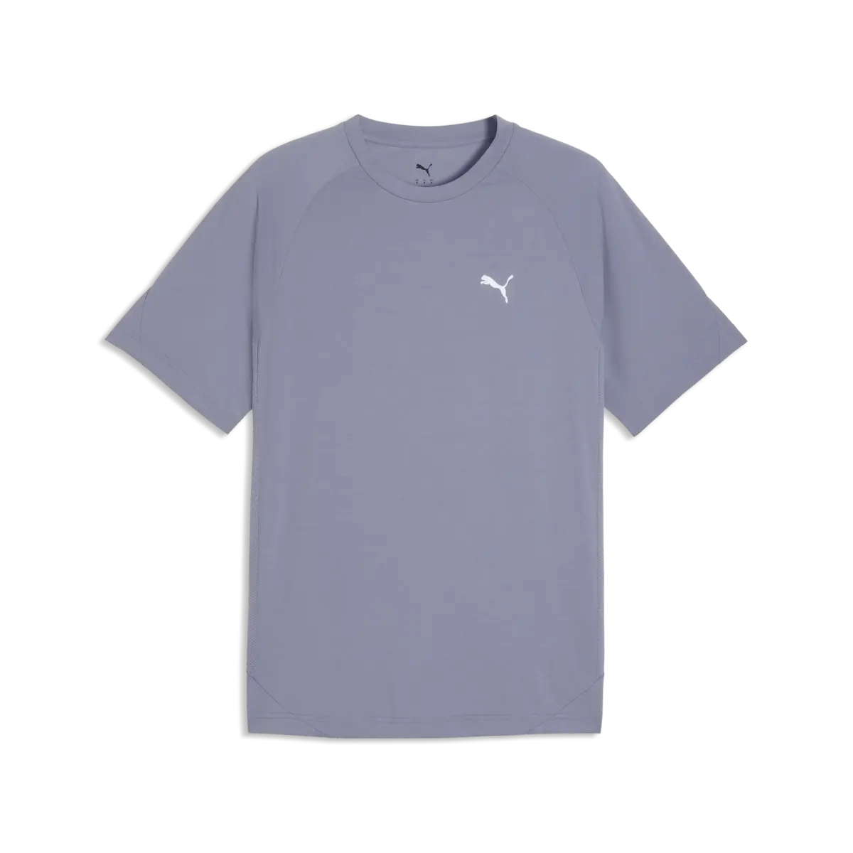 Puma EVOSTRIPE Tee Gri Erkek T-Shirt