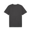 Puma GSK FtblCulture Tee GALATASARAY FtblCulture Erkek Tişört