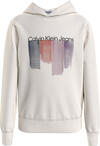 Calvin Klein PLACED BRUSHSTROKES Erkek Krem Hoodie