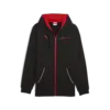 Puma F1 Essential+ Fullzip Hoodie Siyah Erkek Sweatshirt