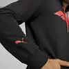 Puma F1 ESS Logo Hoodie Siyah Erkek Sweatshirt