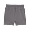 Puma GSK EVOSTRIPE Shorts GALATASARAY EVOSTRIPE Erkek Şort