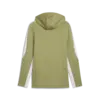 Puma teamEVOSTRIPE Hooded Jacket Erkek Sweatshirt