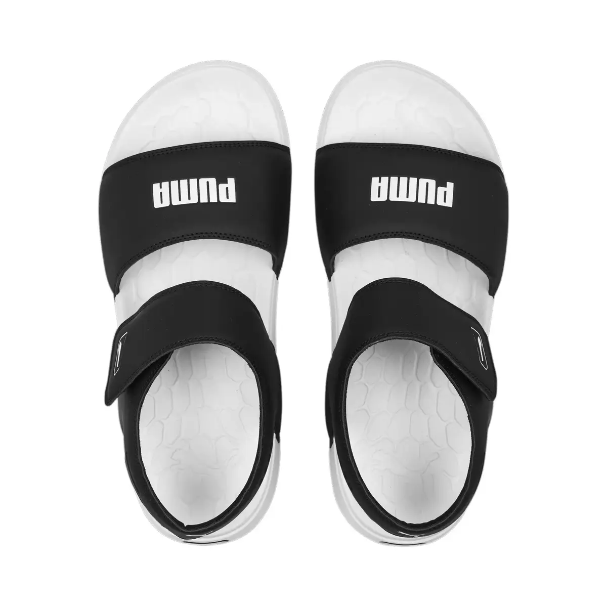 Puma Softride Sandal Pure Siyah Beyaz Erkek Sandalet