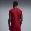 Puma GSK EVOSTRIPE Tee GALATASARAY EVOSTRIPE Erkek Dar Kesim Tişört