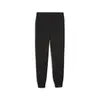 Puma BMW MMS ESS Sweat Pants FT Siyah Erkek Eşofman Altı