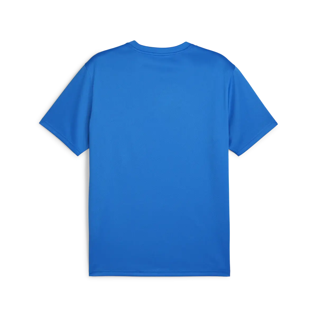 Puma teamGOAL Jersey Mavi Erkek T-Shirt