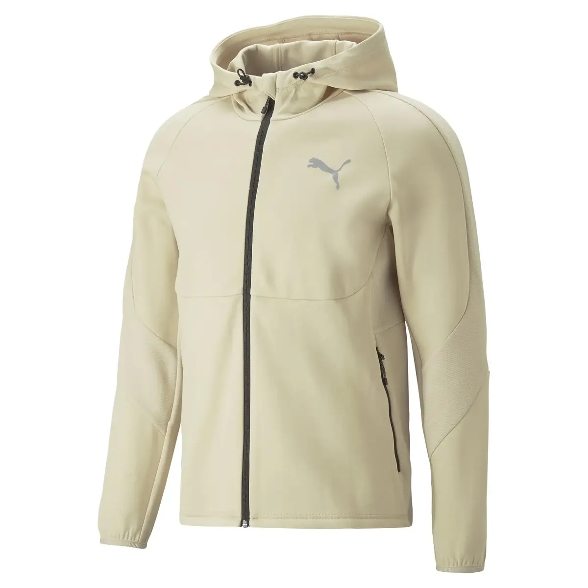 Puma EVOSTRIPE Full-Zip Hoodie DK Granola Erkek Fermuarlı Ceket