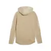 Puma EVOSTRIPE Full-Zip Hoodie Bej Erkek Sweatshirt