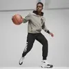 Puma Posterize 2.0 Hoodie Erkek Gri Hoodie