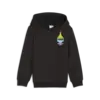 Puma X TROLLS Hoodie Siyah Erkek Sweatshirt