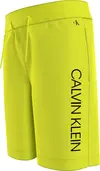 Calvin Klein INSTITUTIONAL LOGO S Erkek Sarı Şort