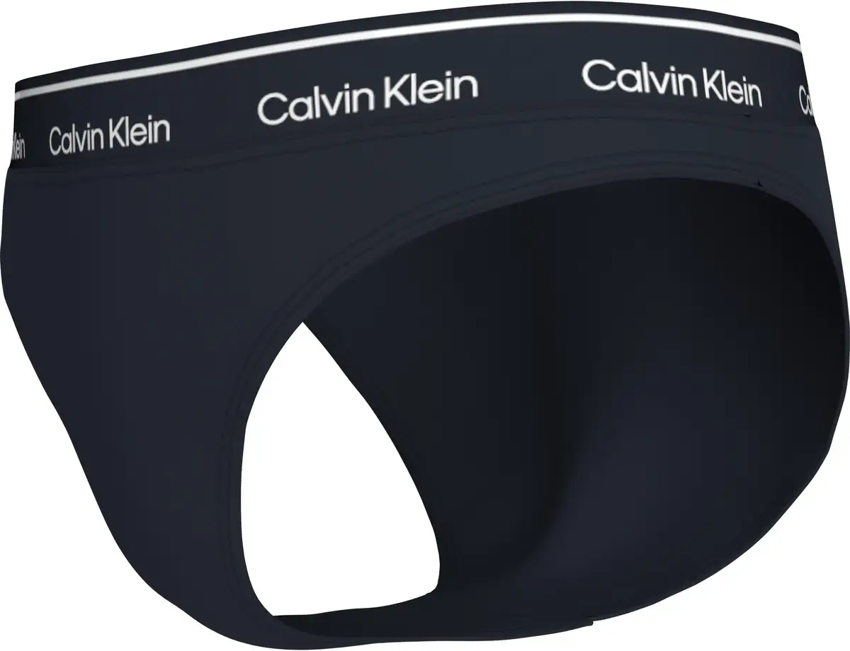 Calvin Klein BIKINI, CEF Lacivert Kadın Bikini Altı