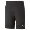 Puma Evostripe Shorts Siyah Erkek Şort