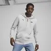 Puma F1 ESS Full-Zip Hoodie Gri Erkek Hoodie